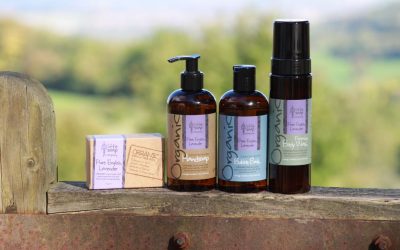 On the tenth day of Christmas we lost ourselves in…