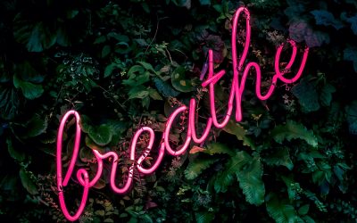 A Week of PR & Brunch
