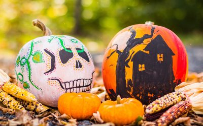 Waiting for Risotto Season